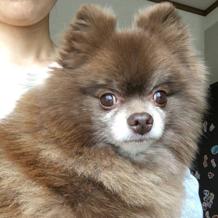 55f57fb2 90e0 4bba acc8 86d5c9f04737 1526472519479