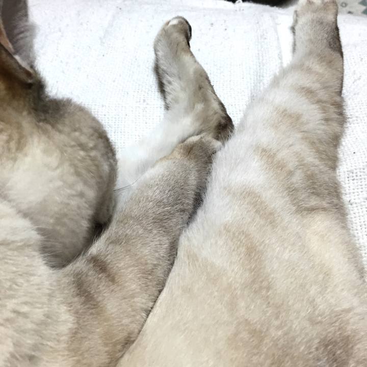 55f59f8d ab42 46d5 913c 6860fe500cc6 1528983392977