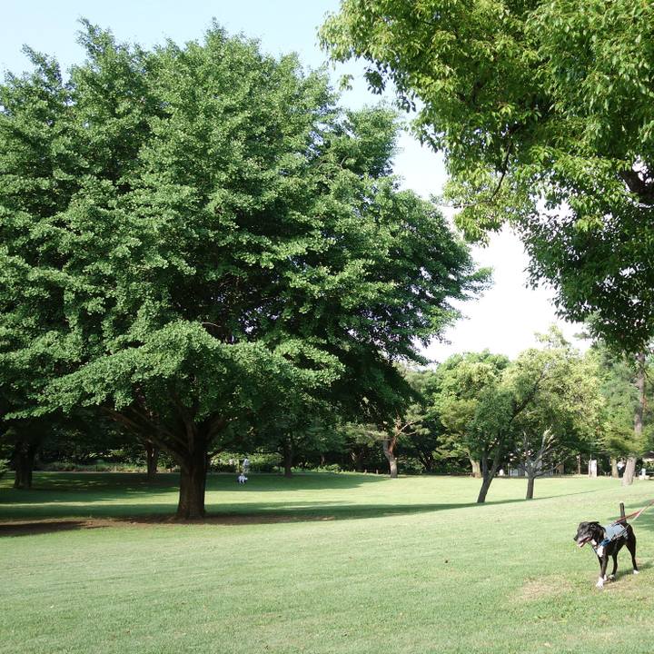 55f5d778 00a7 45d5 8c35 e76da91e7ec0 1750463018237