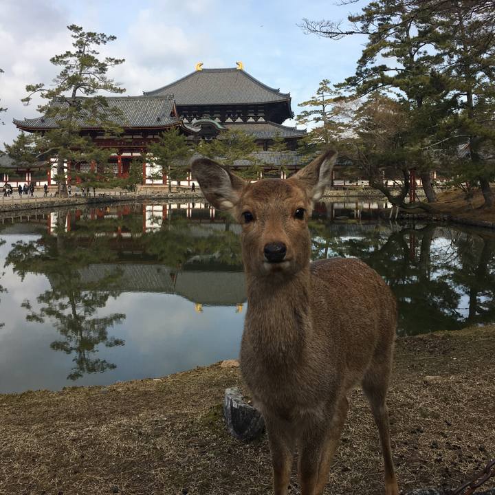 55f62fbe f01e 4bde bc56 0d2f7e7cc63f 1517723092960