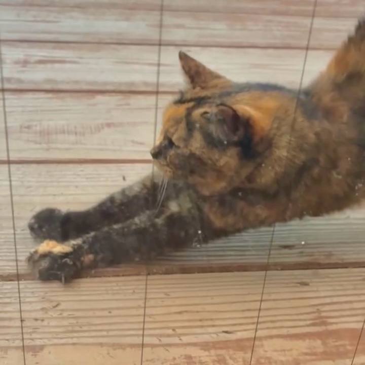 55f63978 6314 4161 b727 9925f32c9f0a 1758967586249