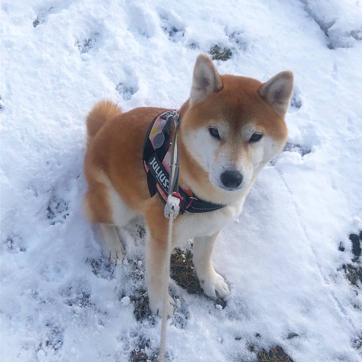 55f641db 02ac 4df4 95b2 0ffae98c15db 1553850840842