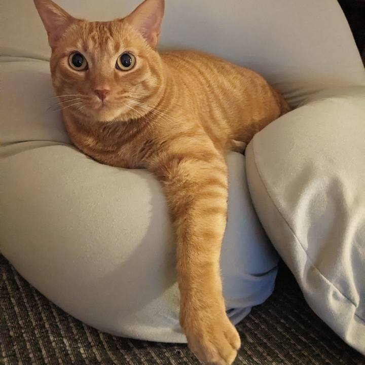 55f64acb ad60 4d66 8c68 c918ee6ac3a8 1674881197270