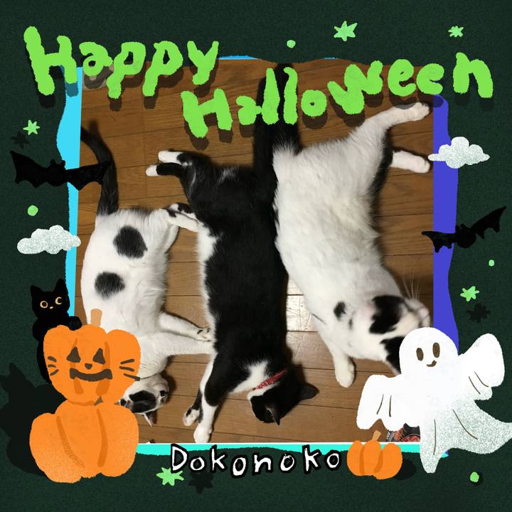 55f67b3a 5e82 4f22 8365 7362f0aec297 1730328096939