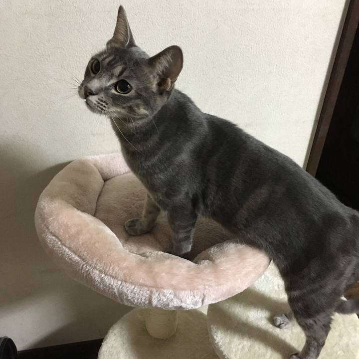 55f680e8 e442 44e6 b89d dcc06fc8e9a9 1509256196460