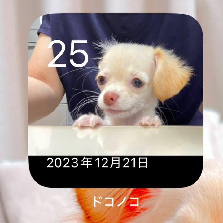 55f6b0bd 47bc 45b6 a351 bb04cfc4c0a5 1735117255739