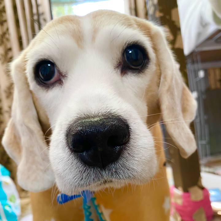 55f6ba6e 9427 49ab b915 49a8e6100c83 1640924001027