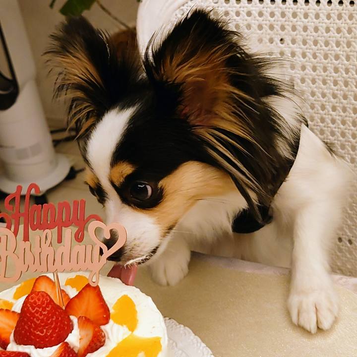 55f6e2d3 43aa 443b 92b4 1898affc8542 1683119002237