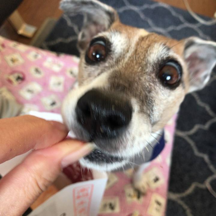 55f6f680 5f4c 4f29 a24e 947b07d6a0fb 1549807779273