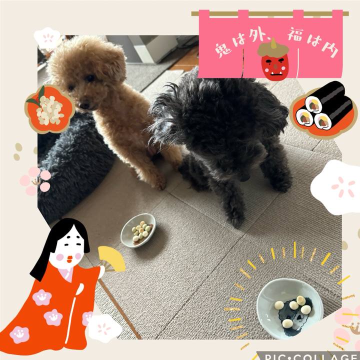 55f705f6 b417 4fbd b76c 71e1897e03a0 1706964007988