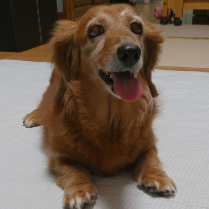 55f73e01 ba35 4169 ace9 785dca2a890f 1636563522764