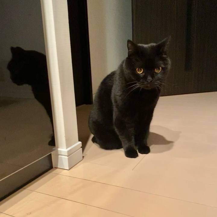 55f7e242 ffce 4f41 99c9 f192bb5c1c64 1732107750022