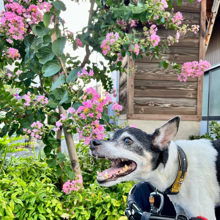 55f7e7e5 25da 4cd3 8497 44683a84b153 1658442357740