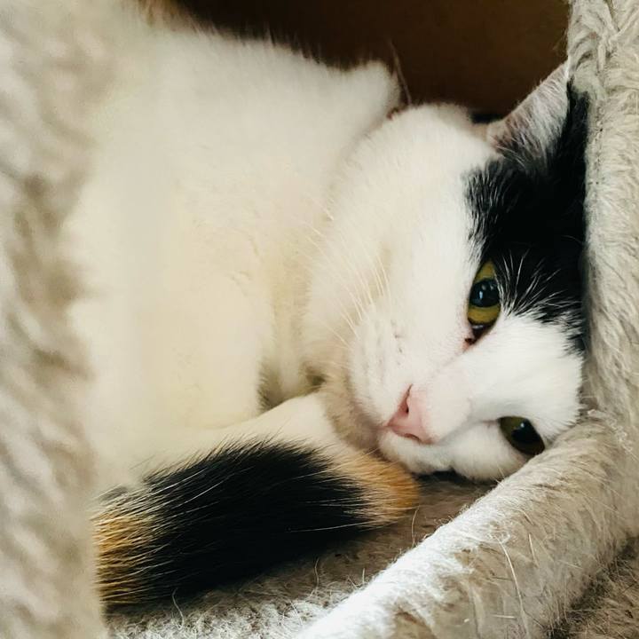 55f85857 c665 4e91 8eb4 762d6c699e04 1698100567618