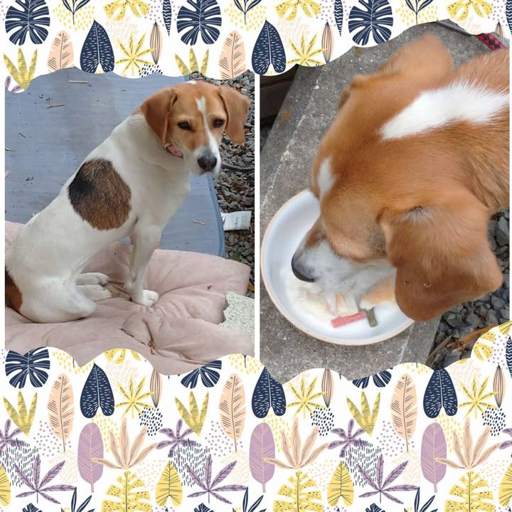 55f89cbf b312 4e61 bae1 eb10f6ea990b 1589015665080