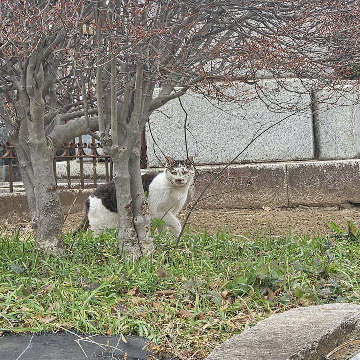 55f8e4a9 8944 4c3f b2ba a2791266c999 1706845920784