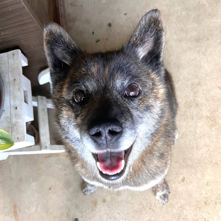 55f8ed7e 4c59 4351 9f7f 4414c03e56a7 1622259812823