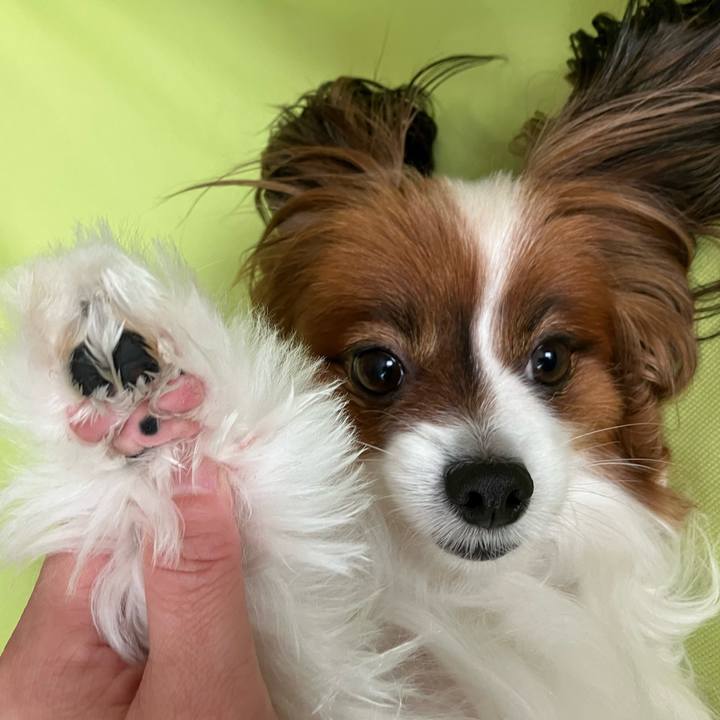 55f8eee5 c9ca 4b02 865f b9aa05bca5ac 1741909955849