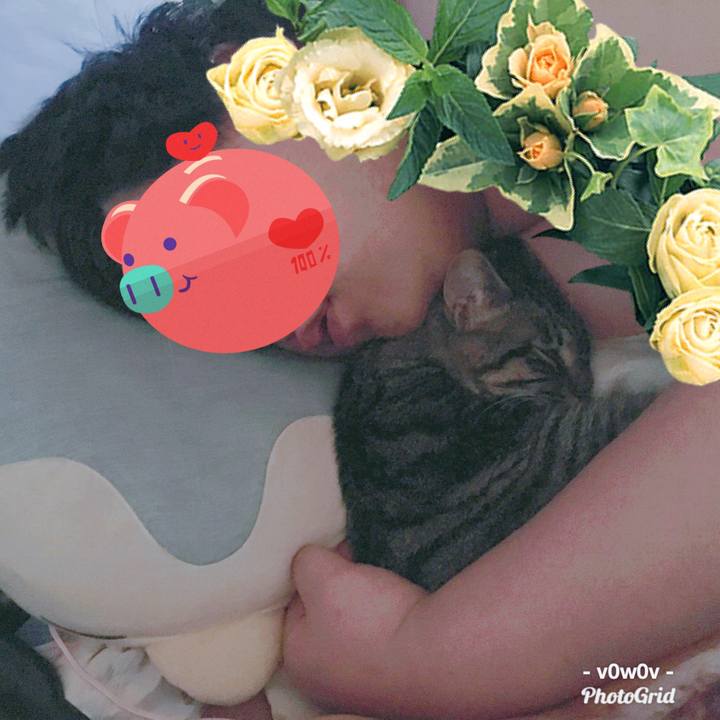 55f9117b 9b02 4c38 b01f a313b1ccba1d 1548221758944