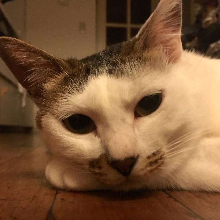 55f95540 67fa 4ac6 91e7 884927613a3a 1532267918851