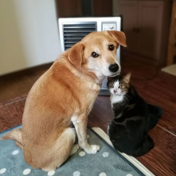 55f959fe 3355 4ac0 9edf 4a007abe7f7e 1546645220166