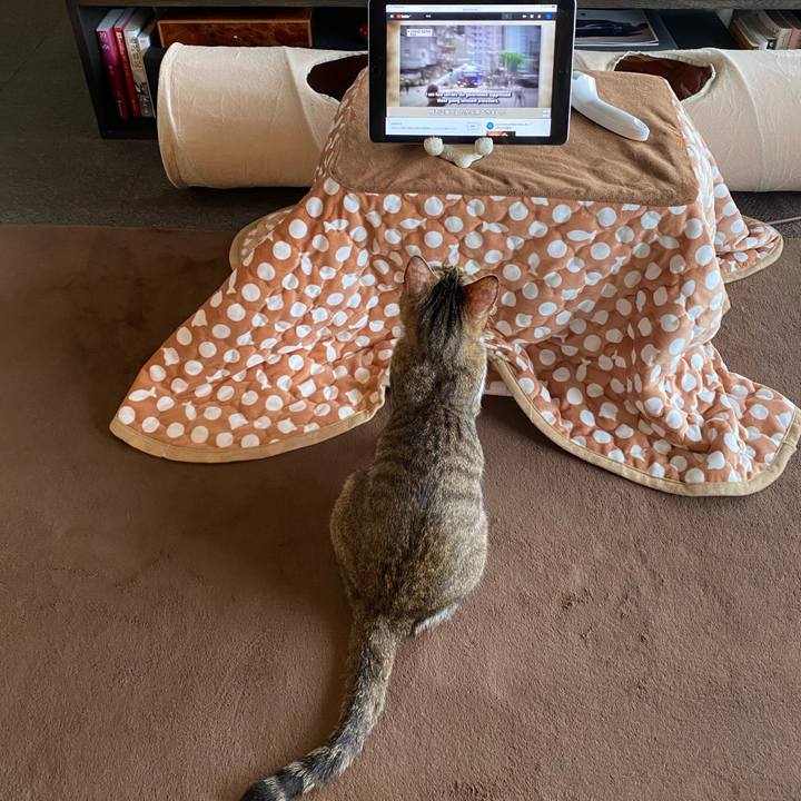 55f99050 f75f 45d5 8b2b f3189b489564 1595394170367