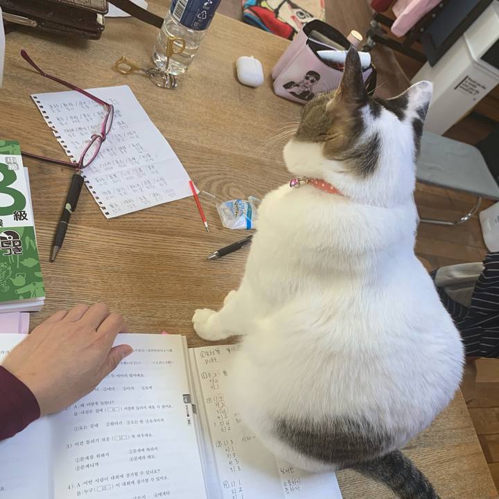 55f99eb5 f822 435b a41b 358db4373594 1604364842216