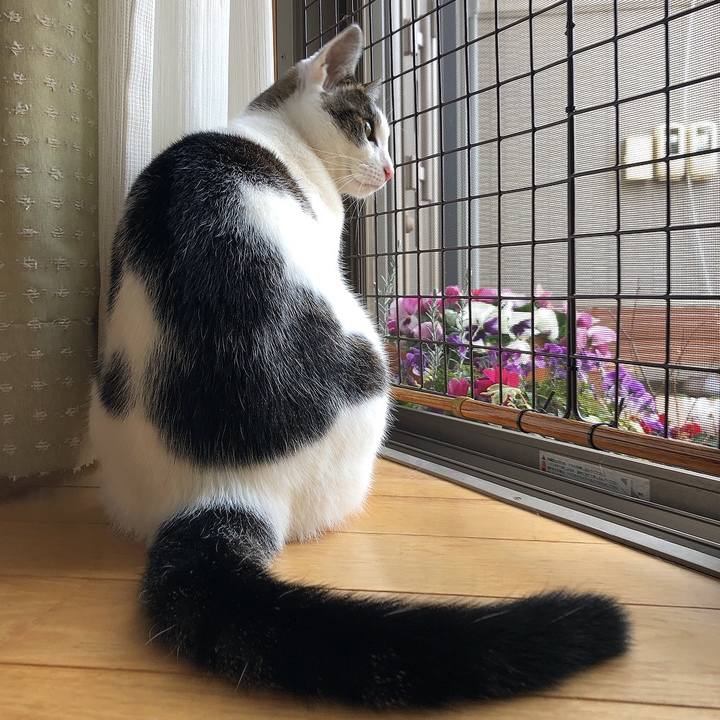 55f9bb60 c2d9 4b79 8be6 3f0d5e2182ca 1647217075098