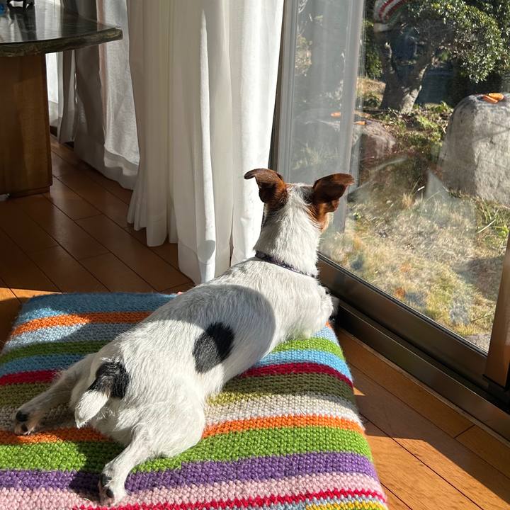 55f9ed62 cdf5 4c88 9d84 e34cee64c417 1769493677081