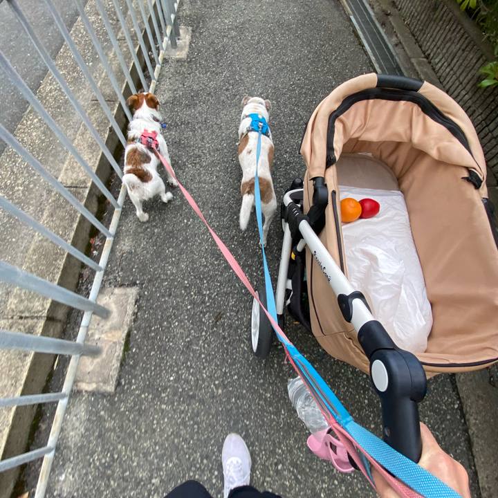 55fa2bfb 782f 48ba ad98 b16354b94b51 1729385482553