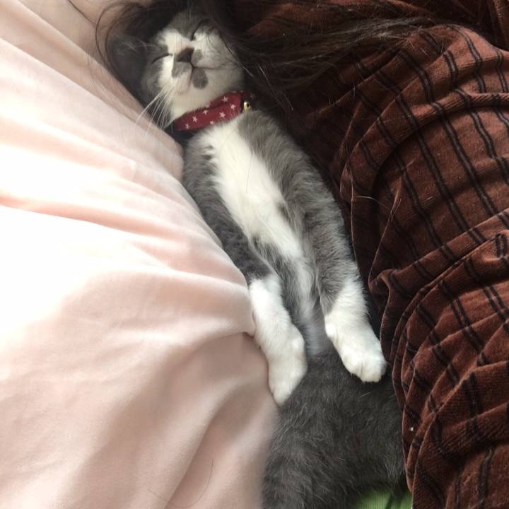 55fa53c5 5553 4d68 bf37 413dcbe3037d 1519655908064