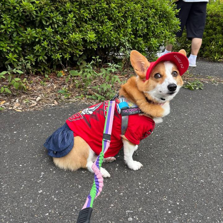 55fa5cfa 3863 47ef 8a65 211655f3470e 1759010408327