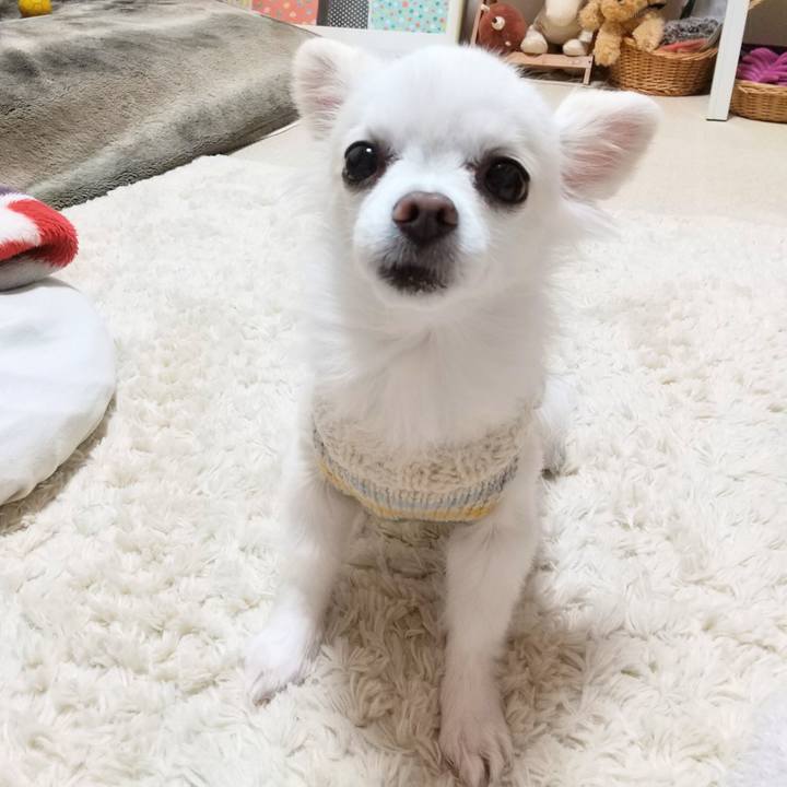 55fa9eb8 1a6a 4236 88c7 669bb7483516 1610623324520