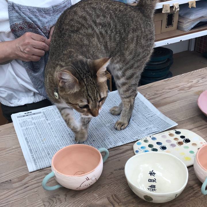 55faded0 6aca 477e a40c 09b151972fb0 1653570780319