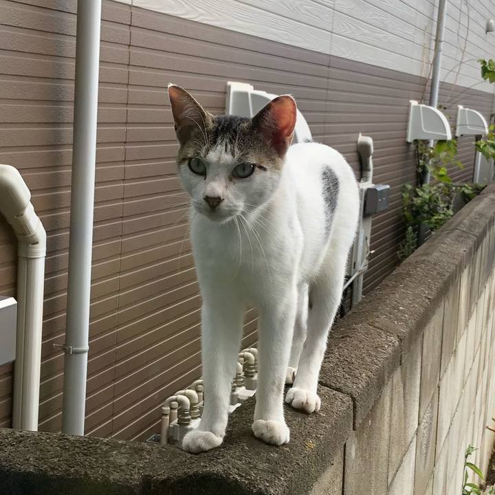 55fb1fdd 2a50 439f 8010 46f3f6bf2478 1565235853862