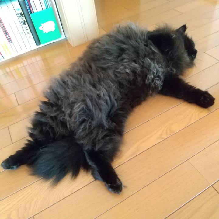 55fb2fd1 590d 4ef3 a718 bcc12223ae30 1629881175643