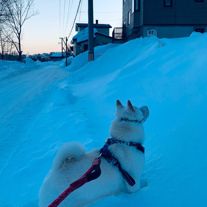 55fb5f27 5337 4d86 b8be 2d1c407203e9 1644533168950