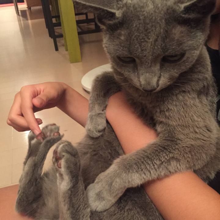 55fb7364 fe4e 4bd3 8c46 5efa36d93f78 1565738969850