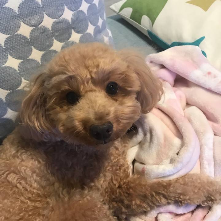 55fc0681 cbbd 45a3 a6f7 7ccb2c9537ce 1548147991408