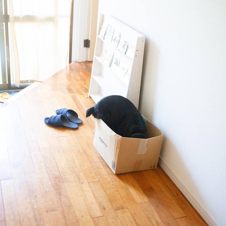 55fc28cc 7c85 4d9d b637 cbf6b8337483 1565581440868