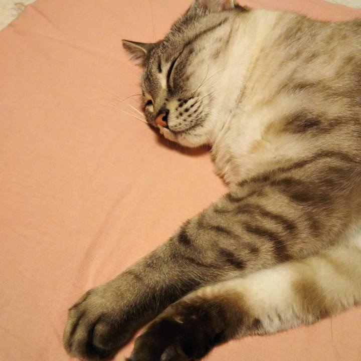 55fc3c16 a7b7 43c3 85d8 bf0d07f65ac6 1588434817852