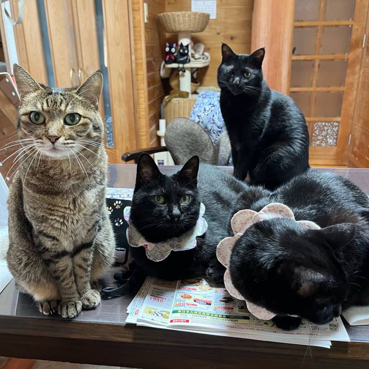 55fc7a95 a2c9 44b8 a836 d6772141d9ed 1724224307501