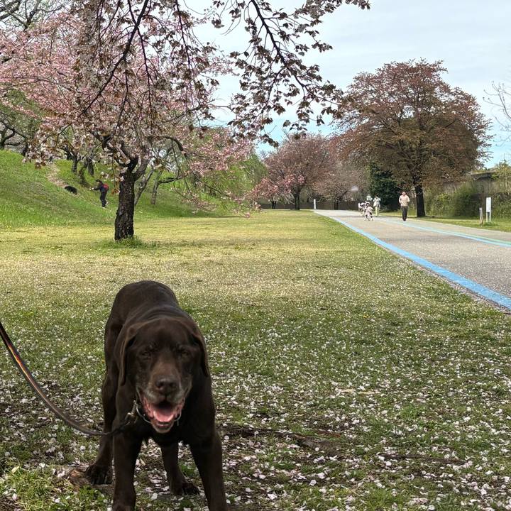 55fcaeab ce4c 44b3 949f 3d59b7f3d4f1 1775387367262