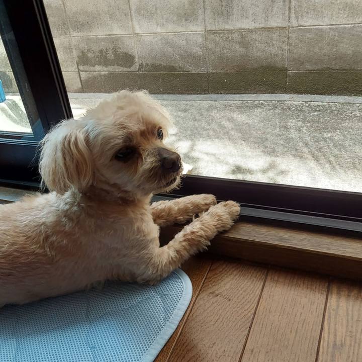 55fcc000 f316 4215 8197 f94ae2657e64 1749784599004