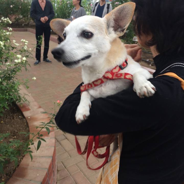 55fcfdb5 9b48 465b 9e84 bf7e8aecb32c 1562063535160