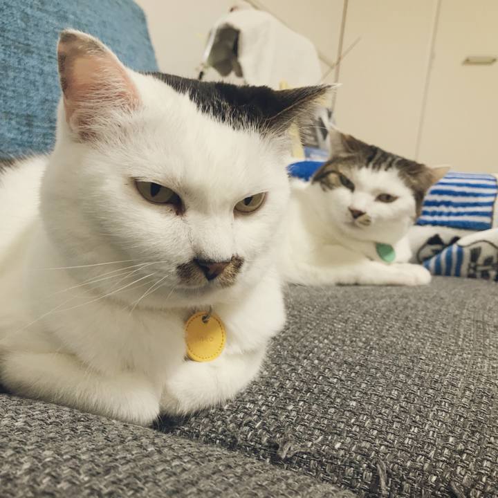 55fd33d0 ef0d 4d16 9b1b 7e47c831f18f 1532748473732