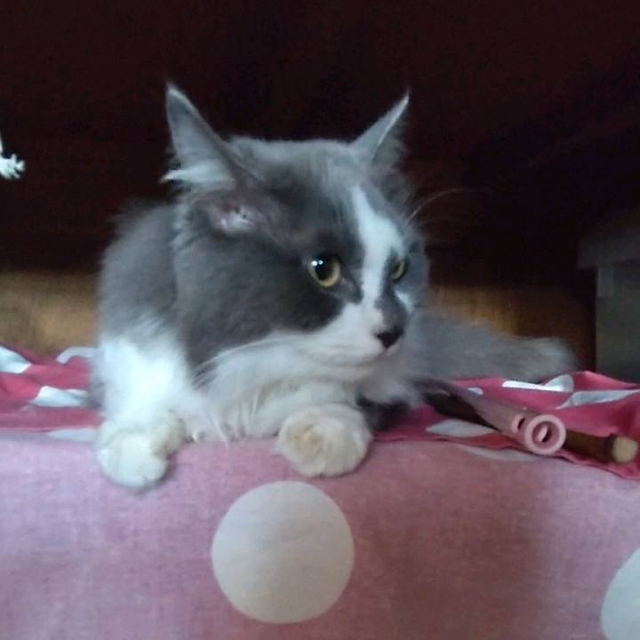 55fd4016 14ab 4b98 911d dcde9ca59a05 1658995616460