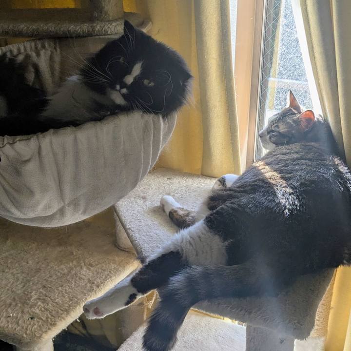 55fd5975 7923 4d44 8fff 7ff65380278a 1763337011047