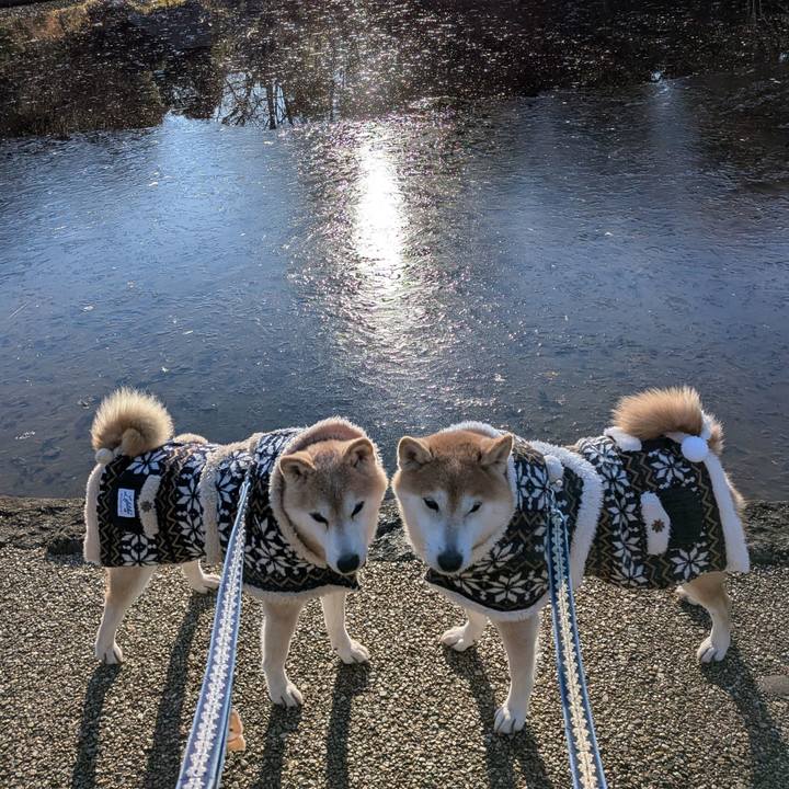 55fd5e5a 4a3a 428b 91f4 f3fbf73f599e 1767493471024