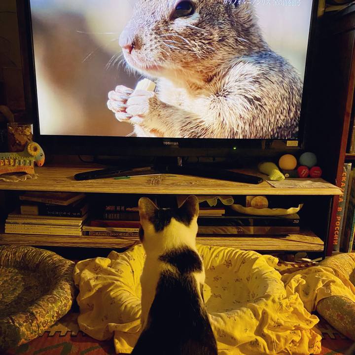 55fd6f2a 349c 4b24 b5be 7e6f190753c4 1601903178404